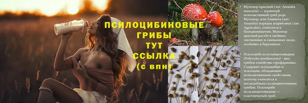 эйфоретик Вязьма