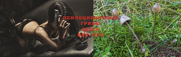 mdpv Вязники