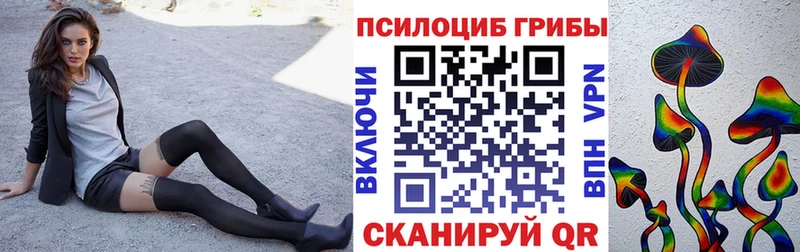 Галлюциногенные грибы MAGIC MUSHROOMS  где купить наркоту  Октябрьский 